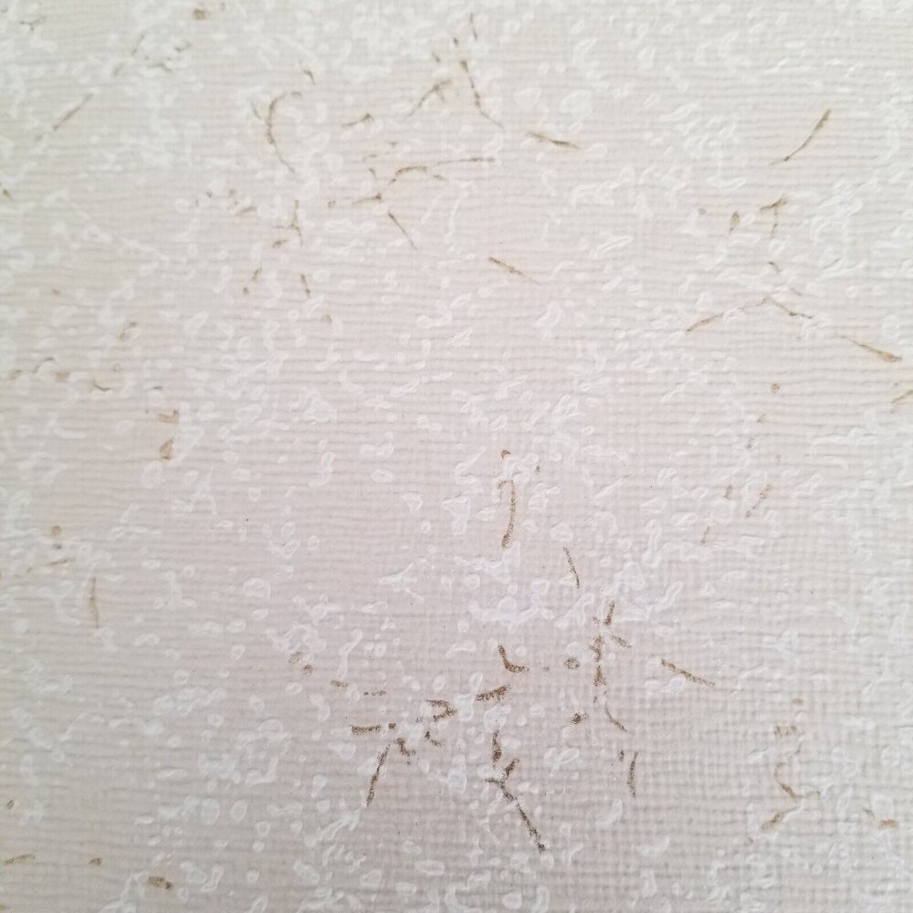 Vintage Wallpaper Sample Sheet Light Color Subtle Design Craft Supply Dollhouse